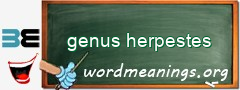 WordMeaning blackboard for genus herpestes